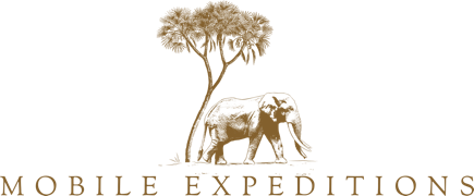 Mobile Expeditions